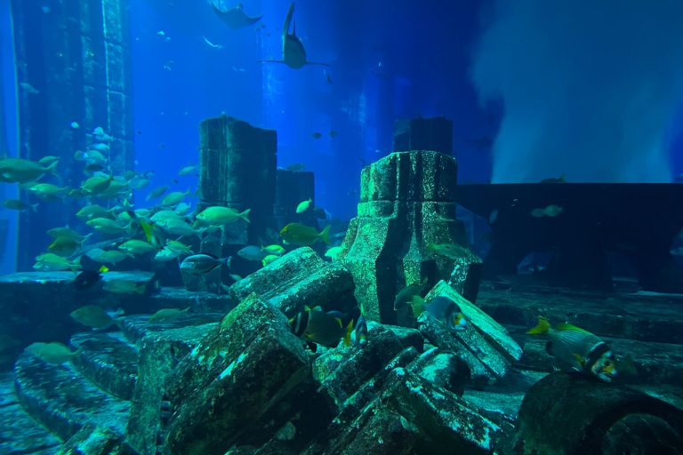 The Lost Chambers - Atlantis The Palm