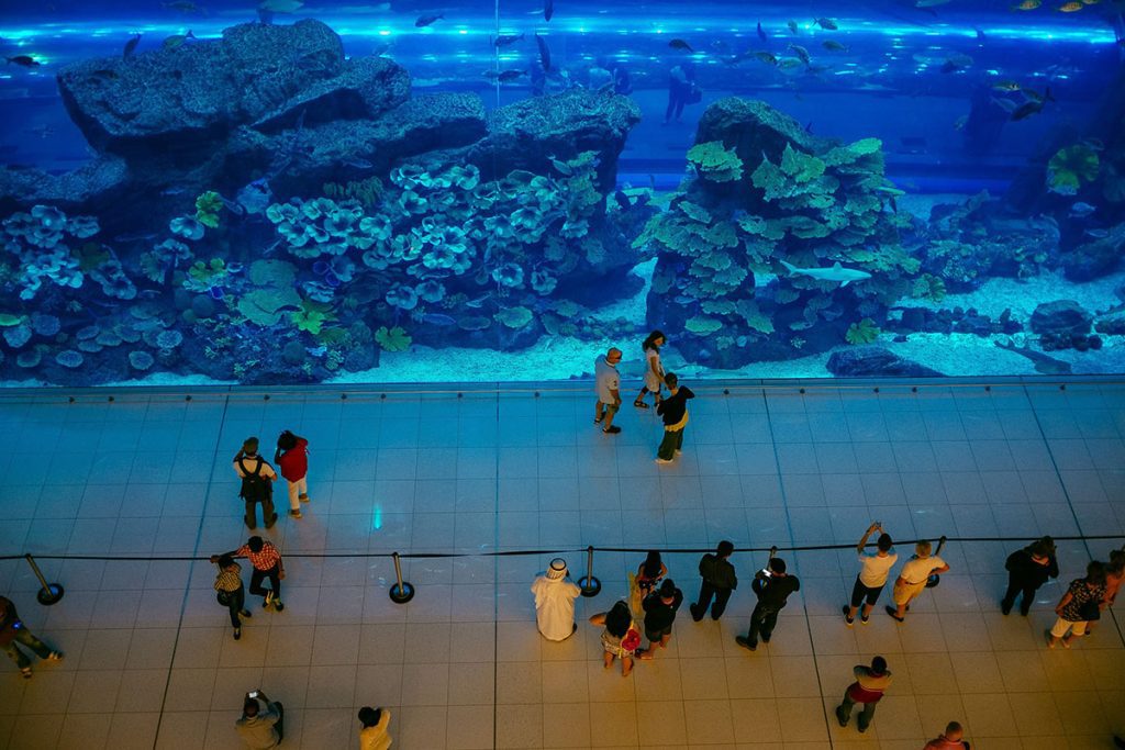 Dubai Aquarium in de Dubai Mall