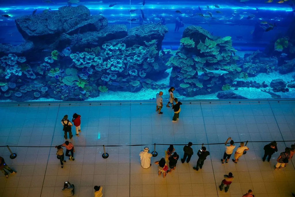 Dubai Aquarium in de Dubai Mall