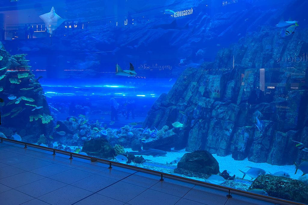 Dubai Aquarium & Underwater Zoo in de Dubai Mall