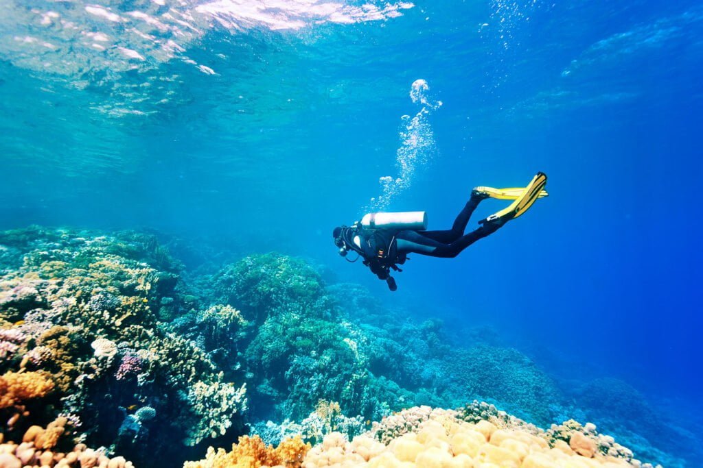 Duiken in Dubai en snorkelen in Dubai
