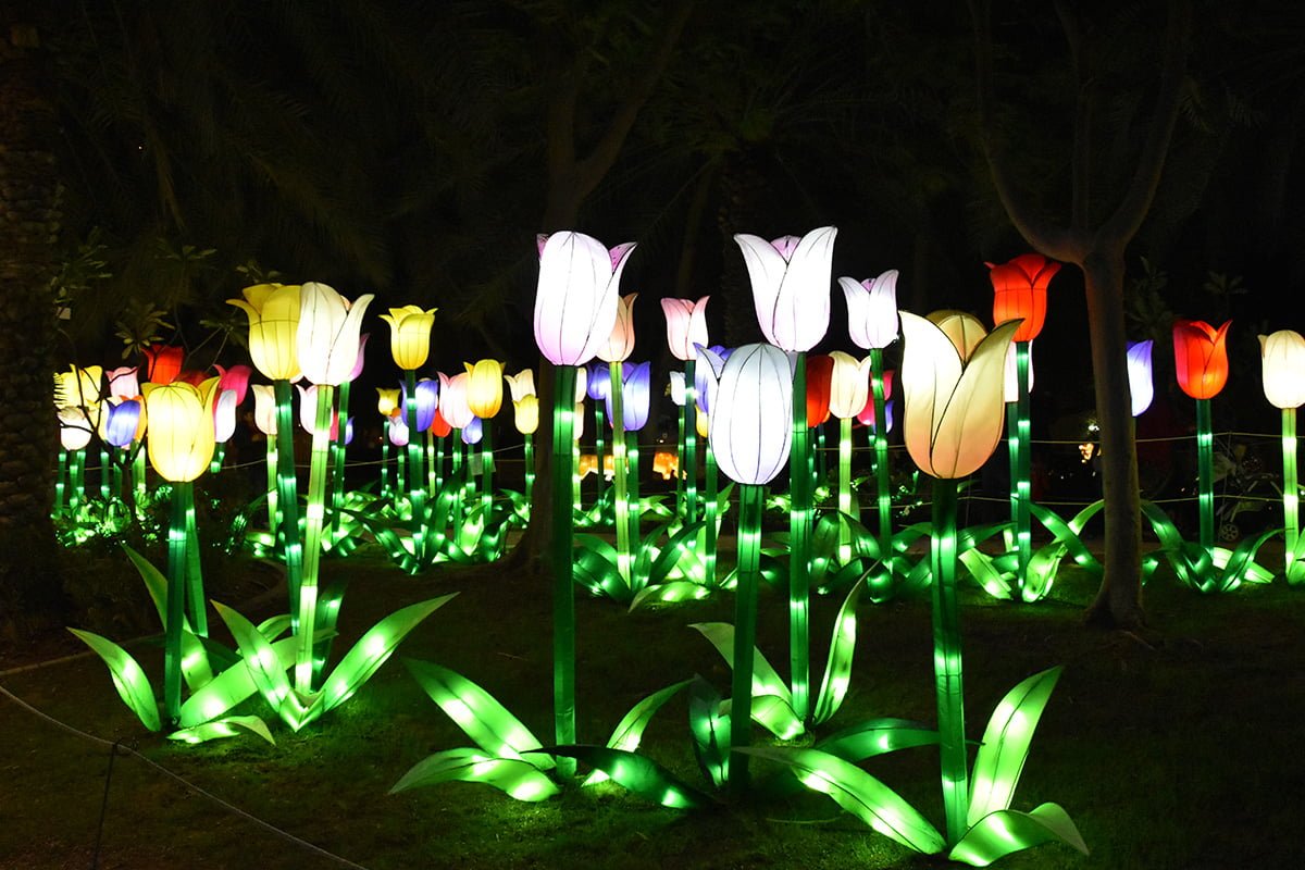Dubai Garden Glow
