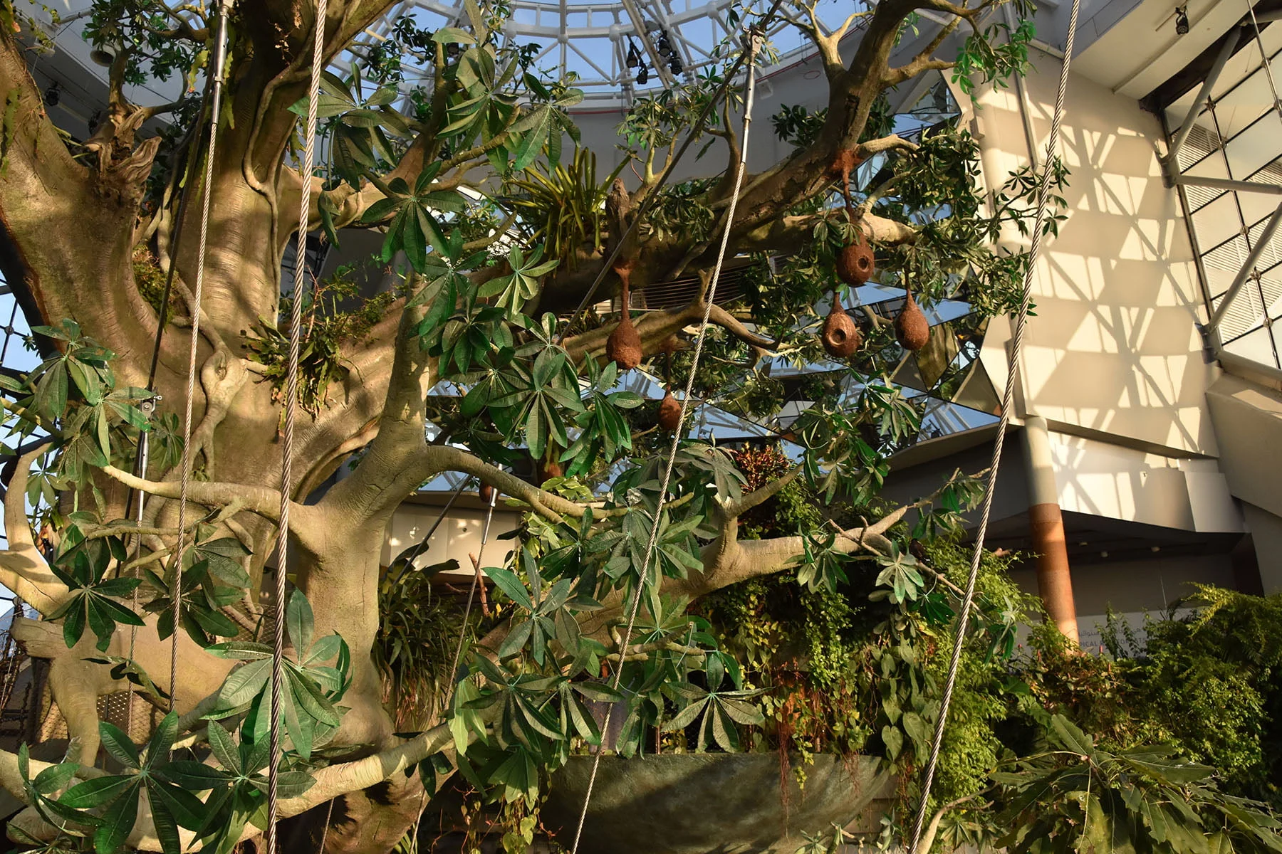 The Green Planet in Dubai