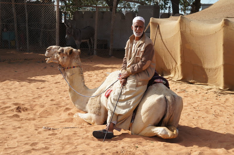 Kamelentocht in de woestijn van Dubai