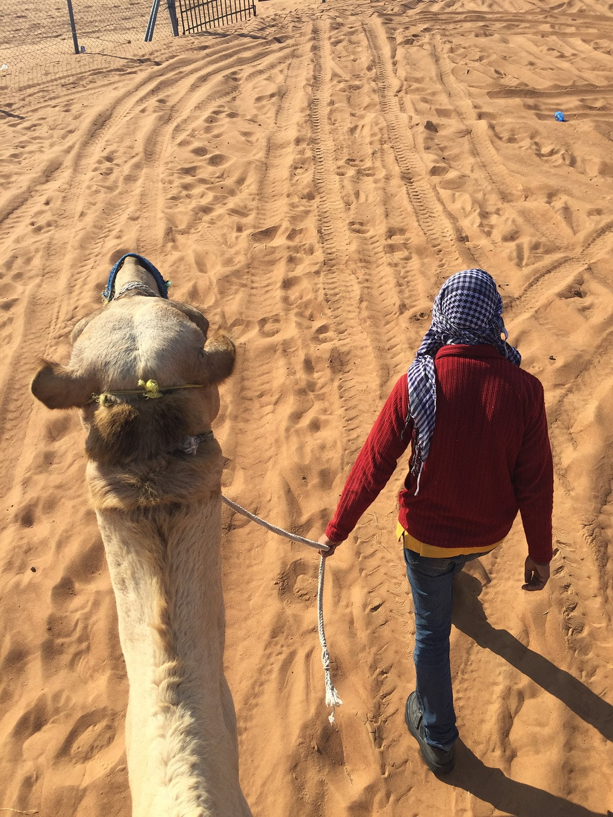 Kameel rijden in de woestijn van Dubai