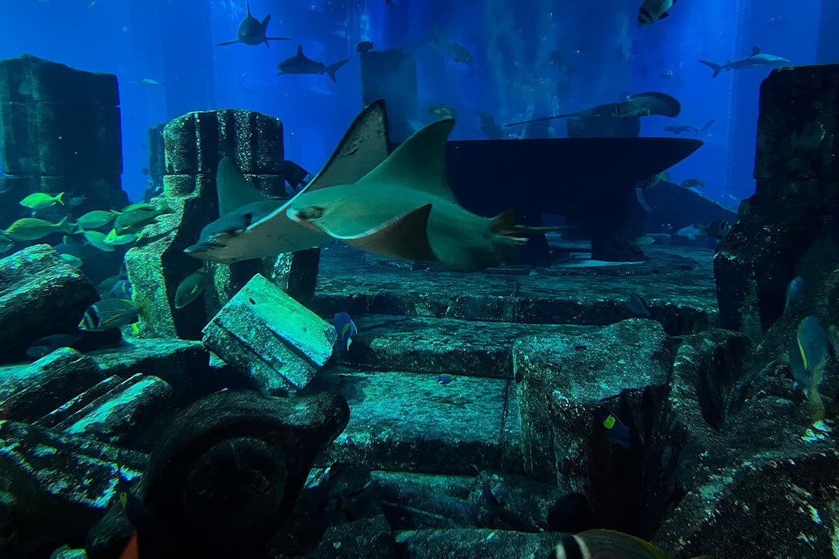 The Lost Chambers - Atlantis The Palm