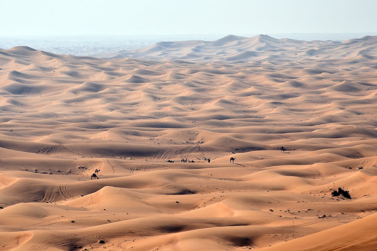 Ochtensafari woestijn Dubai