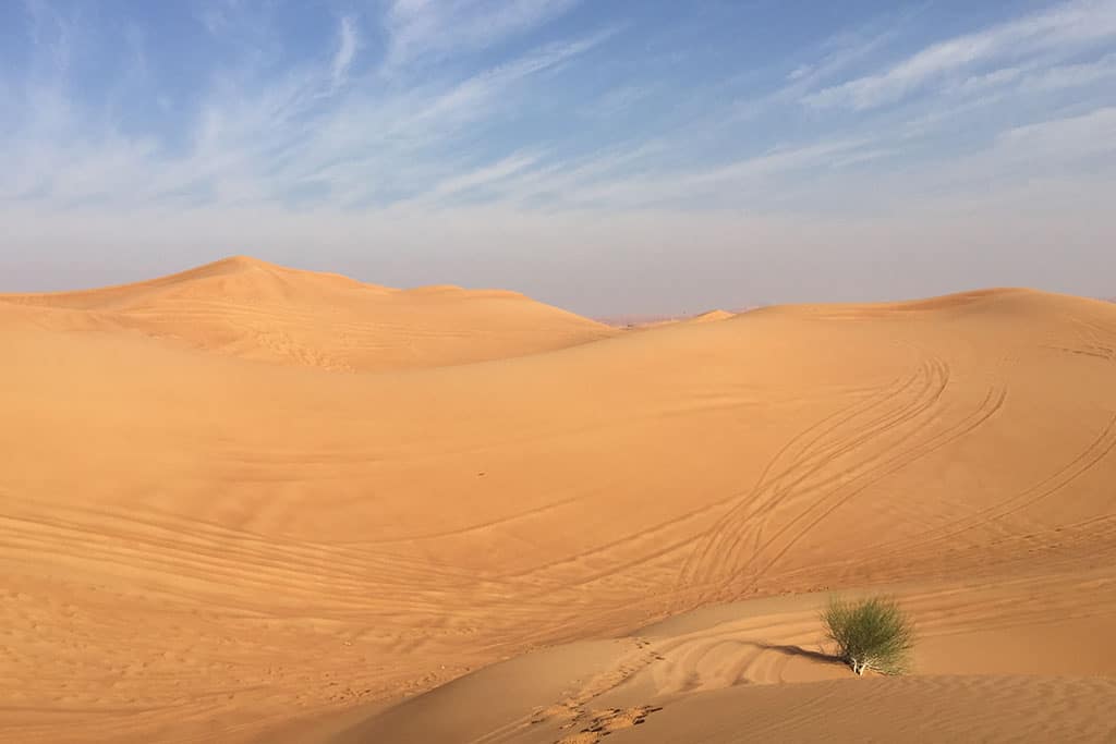 ochtendsafari-dubai-06