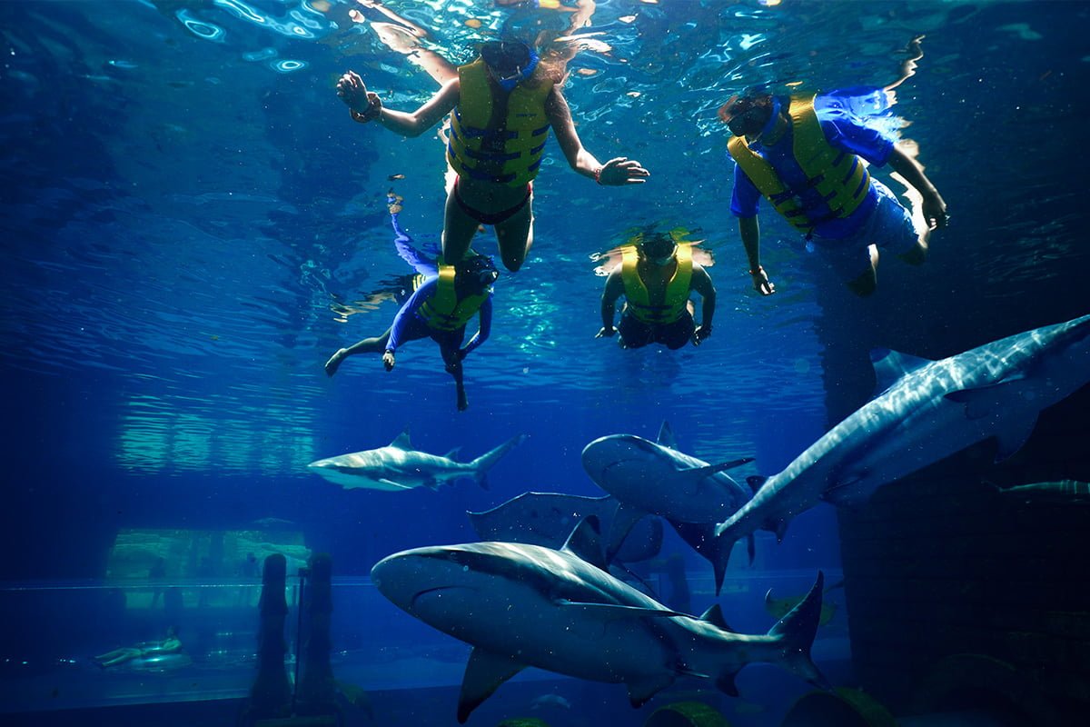 Duiken en snorkelen in het Lost Chambers aquarium