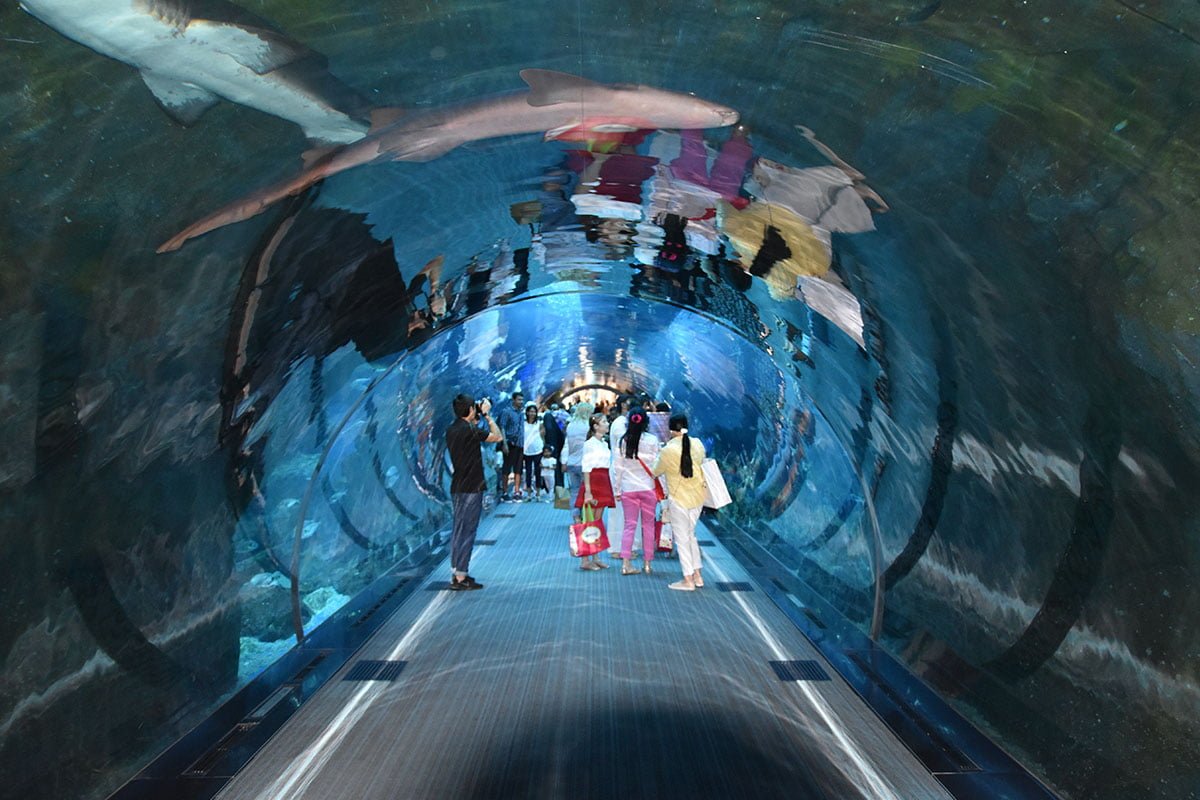 Underwater Zoo Dubai