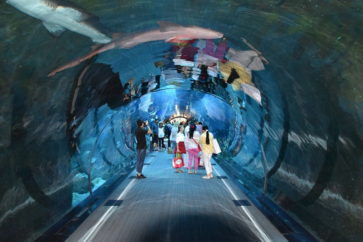 Underwater Zoo Dubai