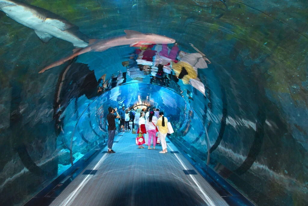 De Underwater Zoo Dubai in de Dubai Mall
